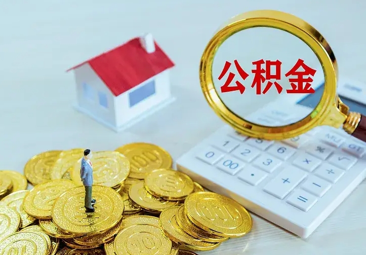 武安公积金有几种方法提取（成公积金提取）